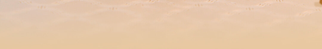 113f3a73-bf4d-4608-8128-a0e4769a2508