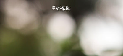6a2912db-9dd6-404f-af34-fe94982b9d35