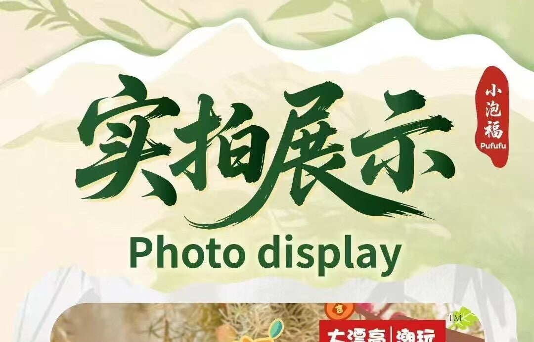 e109382e-8eac-495a-97fa-222ba99466d9