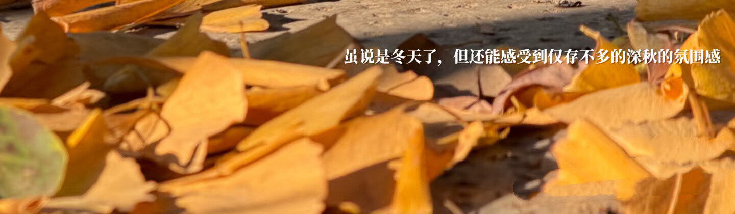 9f7aa35a-33dd-457a-ac87-86f839209147